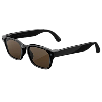Умные очки Meta Adventurer (Classic Black/Brown Standart)