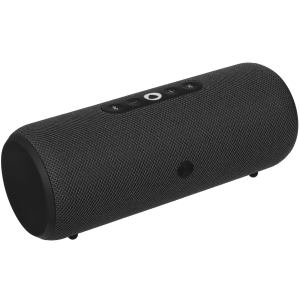 Портативная Яндекс Станция Стрит (Черный)